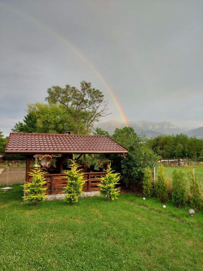Casuta Vulpiței Villa Predeluț Exterior foto